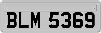BLM5369