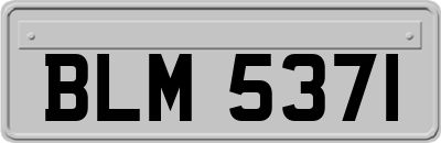 BLM5371