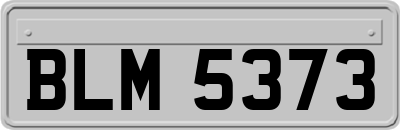 BLM5373