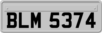 BLM5374