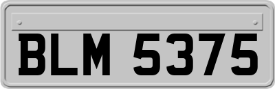 BLM5375