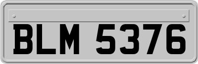 BLM5376