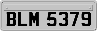 BLM5379