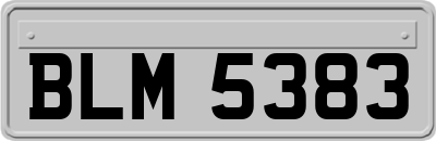 BLM5383