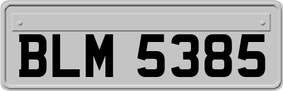 BLM5385