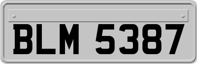 BLM5387