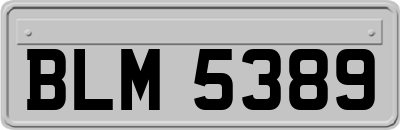 BLM5389