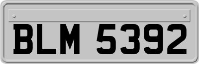 BLM5392