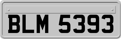 BLM5393