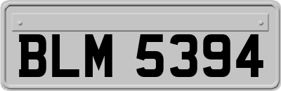 BLM5394
