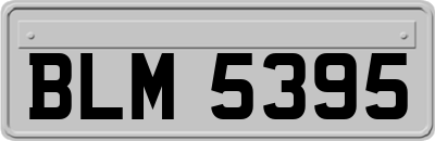 BLM5395