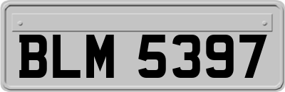 BLM5397