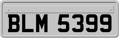 BLM5399