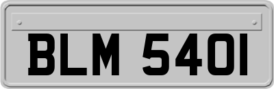 BLM5401
