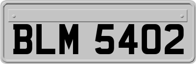BLM5402
