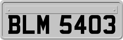 BLM5403