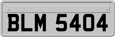 BLM5404