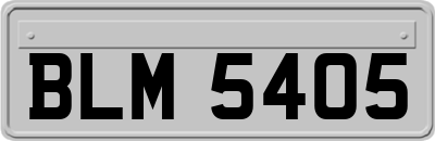 BLM5405