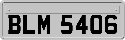 BLM5406