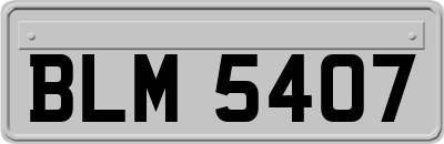 BLM5407