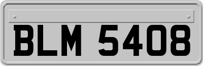 BLM5408