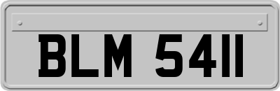 BLM5411