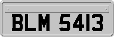 BLM5413