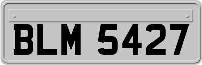 BLM5427
