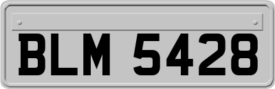 BLM5428