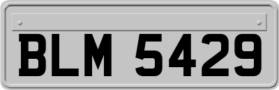 BLM5429