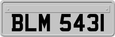 BLM5431