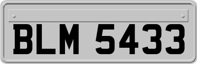 BLM5433