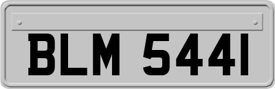 BLM5441