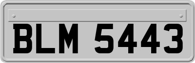 BLM5443