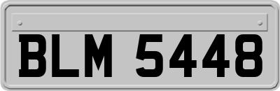 BLM5448