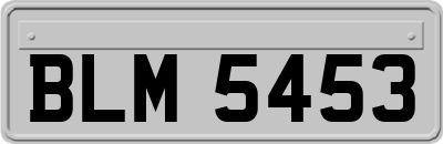 BLM5453