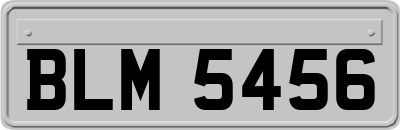 BLM5456