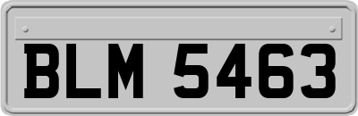 BLM5463