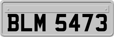 BLM5473