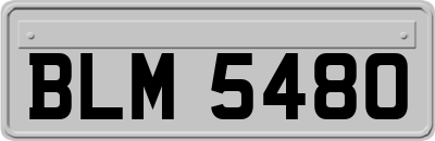 BLM5480