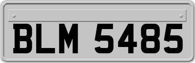 BLM5485