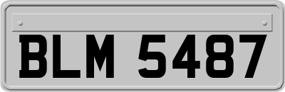 BLM5487