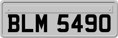 BLM5490