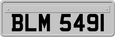 BLM5491