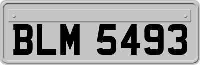 BLM5493