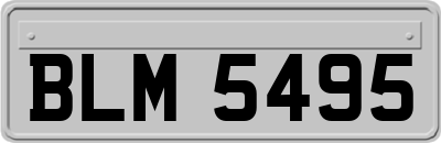 BLM5495