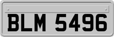 BLM5496