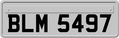 BLM5497