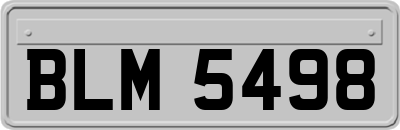 BLM5498