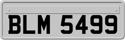 BLM5499